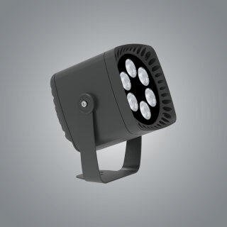 Floodlight FWK2431