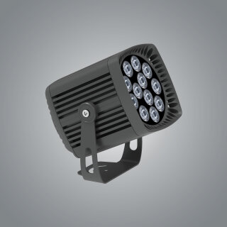 Floodlight FWK2521