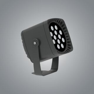 Floodlight FWK2411